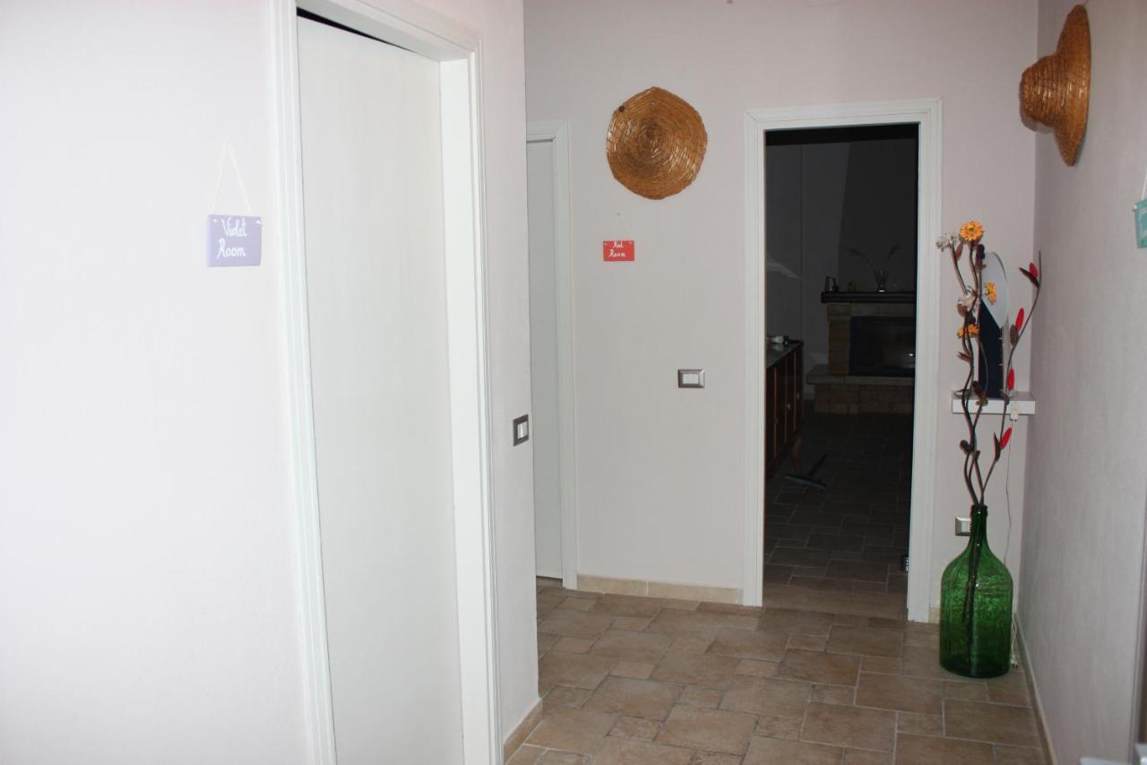 I Colori Degli Agrumi Holiday Home 佛罗里达 外观 照片