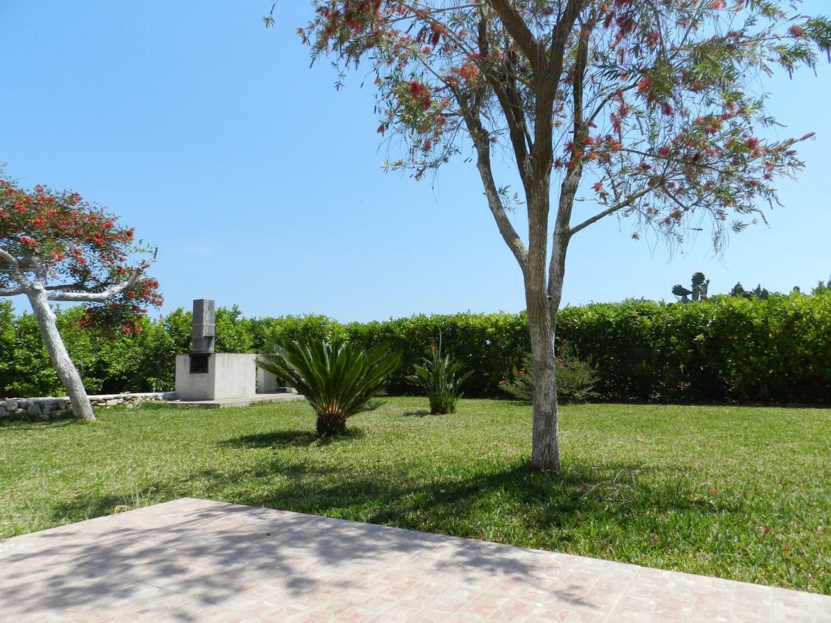 I Colori Degli Agrumi Holiday Home 佛罗里达 外观 照片