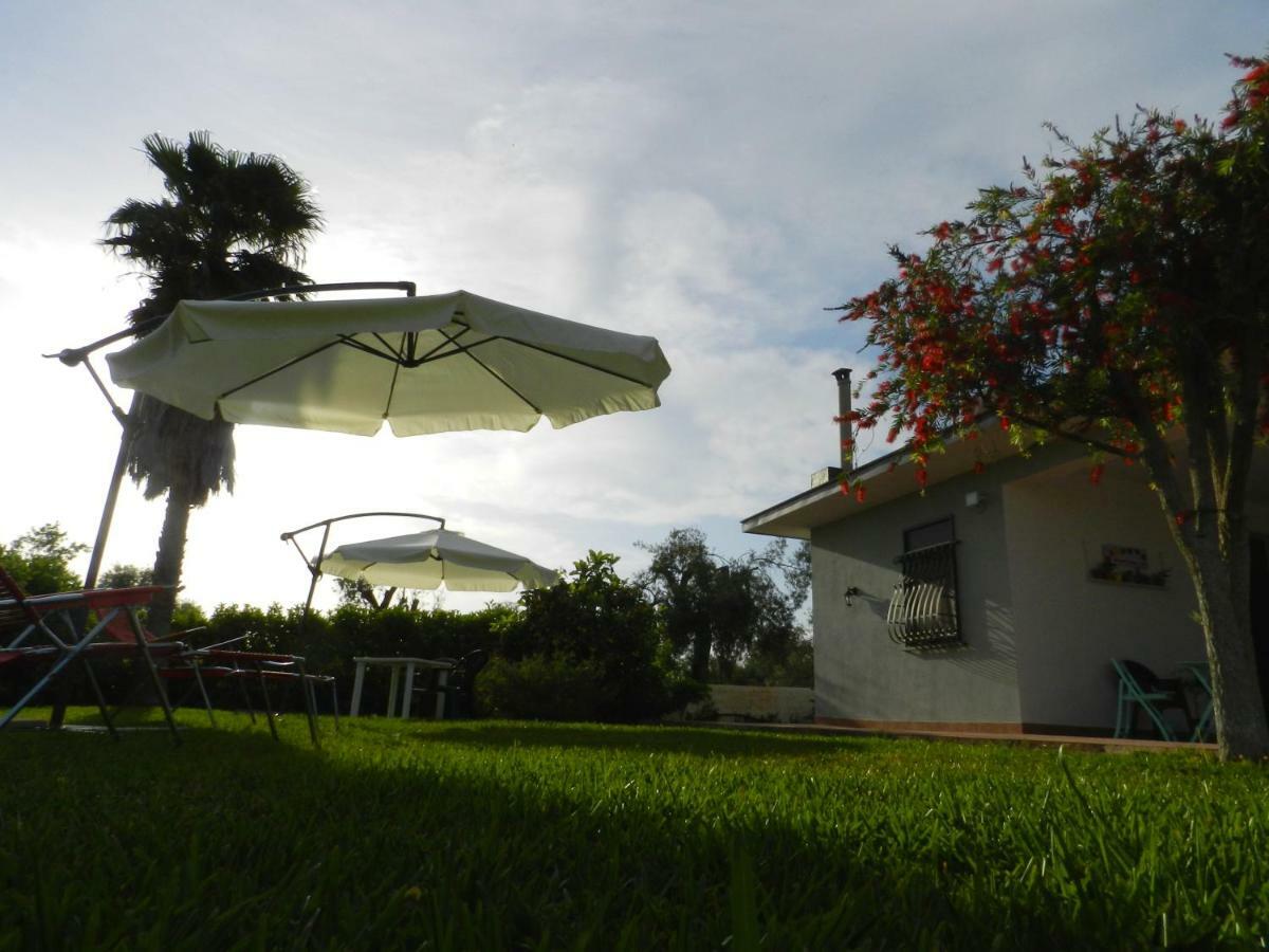 I Colori Degli Agrumi Holiday Home 佛罗里达 外观 照片